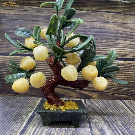 CÂY ĐÀO NGỌC HOÀNG LONG 12 QUẢ