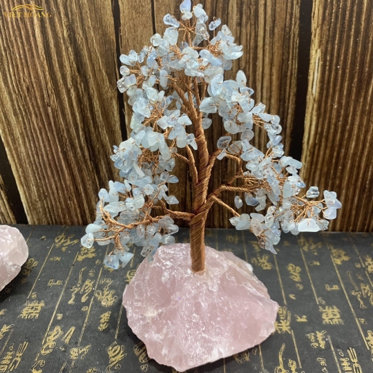 CÂY TÀI LỘC AQUAMARINE